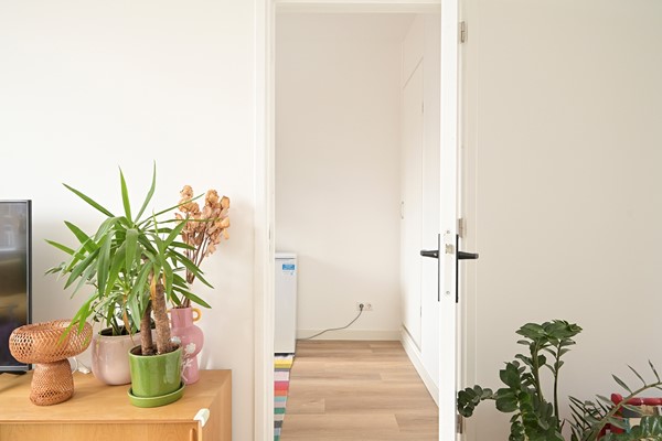 Medium property photo - Beeklaan 347A, 2562 AX The Hague